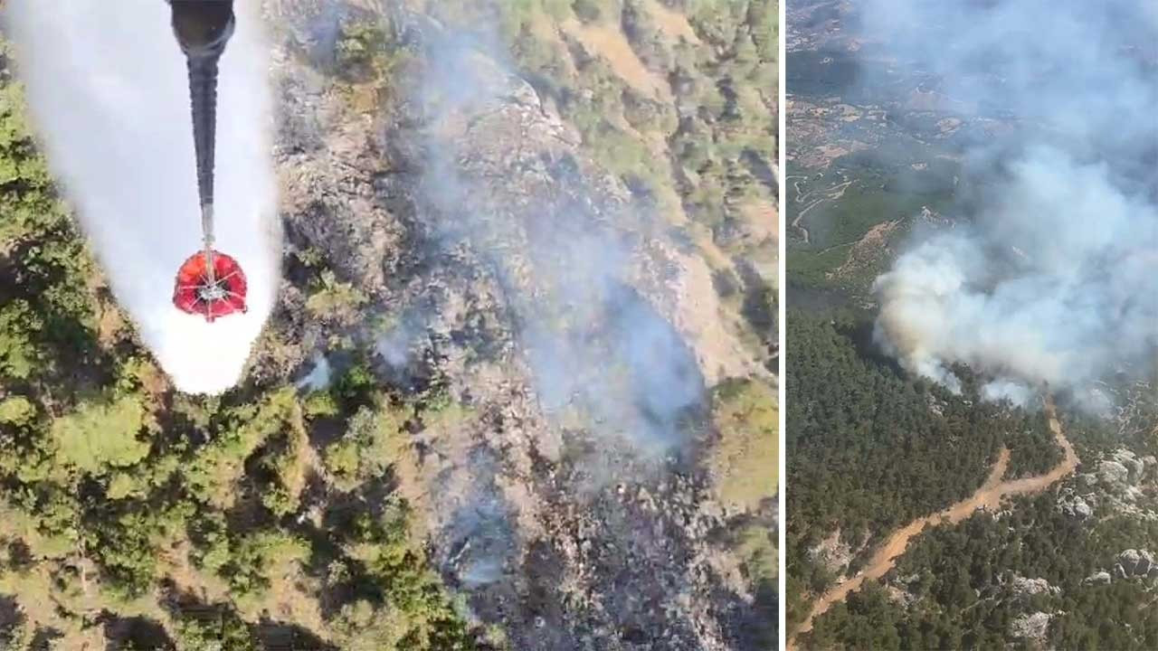 Bergama’daki orman yangını 2’nci gününde